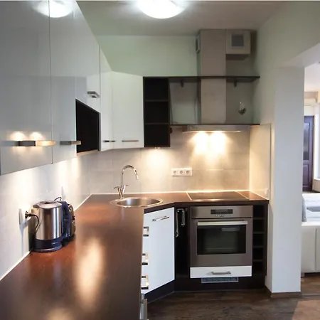 Penthouse Apartment *